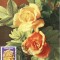 5210 - Carte maxima Romania 1981 - flora