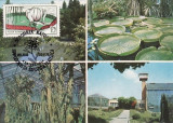 5196 - Carte maxima Romania 1978 - flora