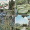 5196 - Carte maxima Romania 1978 - flora