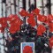 5225 - Carte maxima Romania 1981 - flora