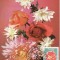 5219 - Carte maxima Romania 1981 - flora