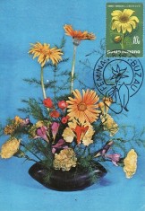 5204 - Carte maxima Romania 1981 - flora