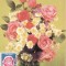 5213 - Carte maxima Romania 1981 - flora