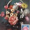 5212 - Carte maxima Romania 1981 - flora