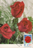 5226 - Carte maxima Romania 1981 - flora