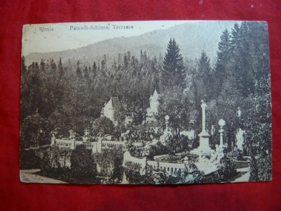 Ilustrata Sinaia - Terasa Palatului Peles ,Ed. lb.germana foto