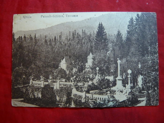 Ilustrata Sinaia - Terasa Palatului Peles ,Ed. lb.germana