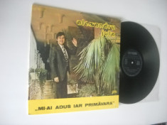 ALEXANDRU JULA(primul lui LP): Mi-ai Adus Iar Primavara(1986) disc vinil mare foto