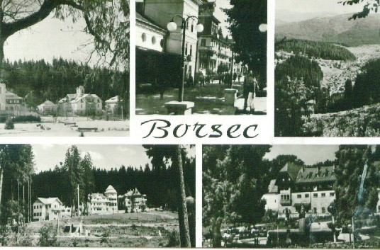 BORSEC