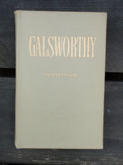 BOGATASUL - JOHN GALSWORTHY foto