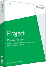 Microsoft Project Professional 2013 32/64-bit romana Medialess - FPP foto