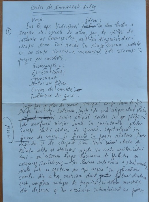Manuscris Fanus Neagu ; Cantec de singuratate dulce, 2 pagini