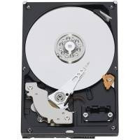 Hard disk server Fujitsu server 300GB S26361-F4005-L530 foto