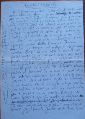 Manuscris Fanus Neagu ; Azvarlind turturelele, 2 pagini scrise olograf foto