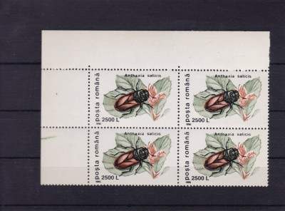 ROMANIA 1996 , LP 1404 , INSECTE UZUALE VAL.2500 L HARTIE CRETATA BL DE 4 MNH foto
