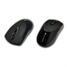 Mouse Elephant Rigid Mice Plus USB Black foto