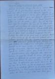 Manuscris Fanus Neagu ; Frumoase zapezi si minunate mari calde, 2 pagini