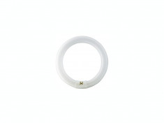 TUB NEON - MASTER TL-E Circular 22W/865 1CT/12 foto