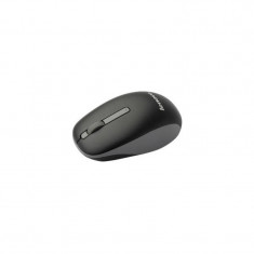 Mouse de notebook Lenovo N100 black foto