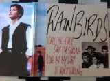 Rainbirds call Me Easy Say I&#039;m Strong Love Me My Way It Ain&#039;t disc vinyl LP pop, VINIL, Mercury