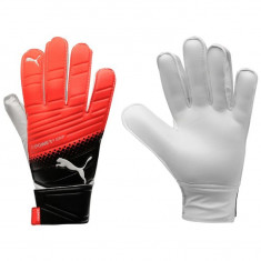 Manusi Puma Evo Power Grip 4.3 -Originale- Marimile 7,8,9,10 - Detalii in anunt foto