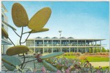 Bnk cp Mamaia - Restaurantul Tomis - necirculata, Printata, Constanta