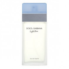 Dolce &amp;amp;amp; Gabbana Light Blue eau de Toilette pentru femei 100 ml foto