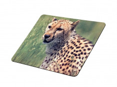 Mousepad Tracer Cheetah S02 foto