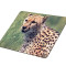 Mousepad Tracer Cheetah S02