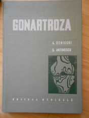 A. DENISCHI--GONARTROZA - 1977 foto