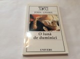 John Updike O Luna de duminici,RF2/1, 2004, Univers