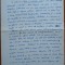 Manuscris Sultana Craia, Targoviste, Poezia ca activitate esentiala, eseu