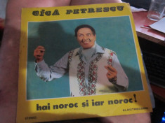 vinil gica petrescu foto