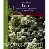 Ildiko Kohut - Socul - cultivare, utilizari &icirc;n gastronomie si &icirc;n farmacia casei