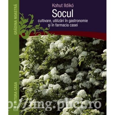 Ildiko Kohut - Socul - cultivare, utilizari &amp;icirc;n gastronomie si &amp;icirc;n farmacia casei foto
