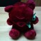 Cherry Bear | ursuletul jucarie plush copii