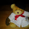 Teddy Bear ursulet pictorul jucarie copii