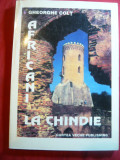 Gheorghe Colt - Africani la Chindie - Ed. Curtea Veche 2001 144p. ,fotografii