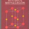 (C6819) MARIA RADULESCU - STUDIU METALELOR