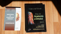 Atlas Anatomie Netter Editia 4 + Compendium foto