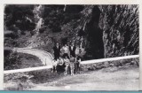 Bnk foto - Cheile Bicazului - 1964, Alb-Negru, Romania de la 1950, Natura