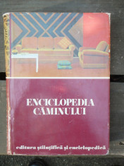 ENCICLOPEDIA CAMINULUI foto