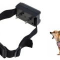 Zgarda antilatrat Anti Barking Controller