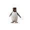 Figurina Pinguin Rockhopper S Collecta