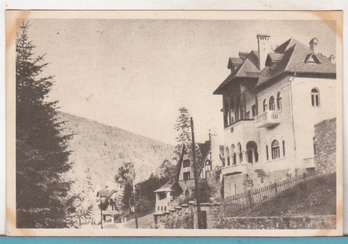 bnk cp Sinaia - Vedere - necirculata