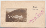 Bnk cp Sinaia - Palace Hotel - uzata 1951, Circulata, Printata