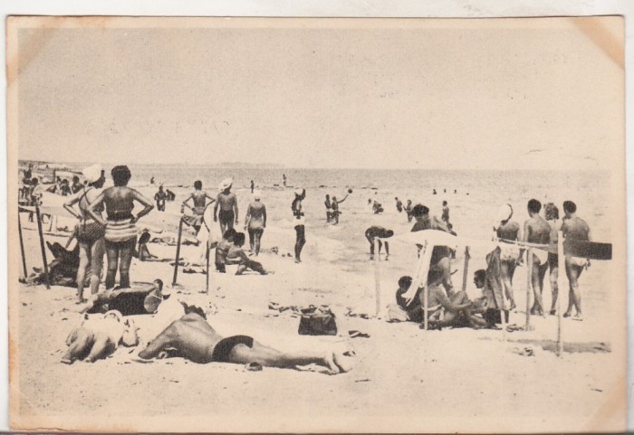 bnk cp Mangalia - Pe plaja - necirculata