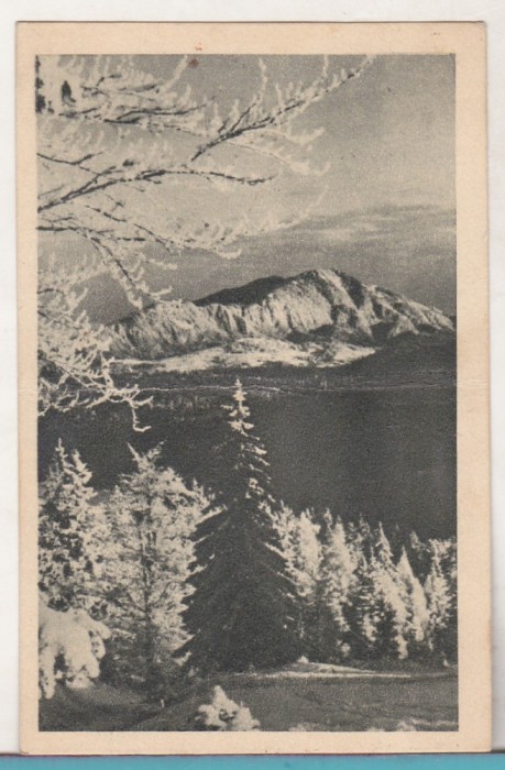 bnk cp Muntii Bucegi - Diham - circulata 1951