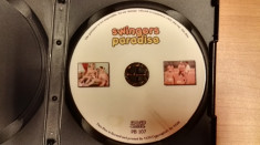 Film XXX DVD Swingers Paradise foto