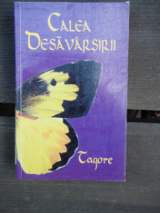 CALEA DESAVARSIRII - TAGORE foto